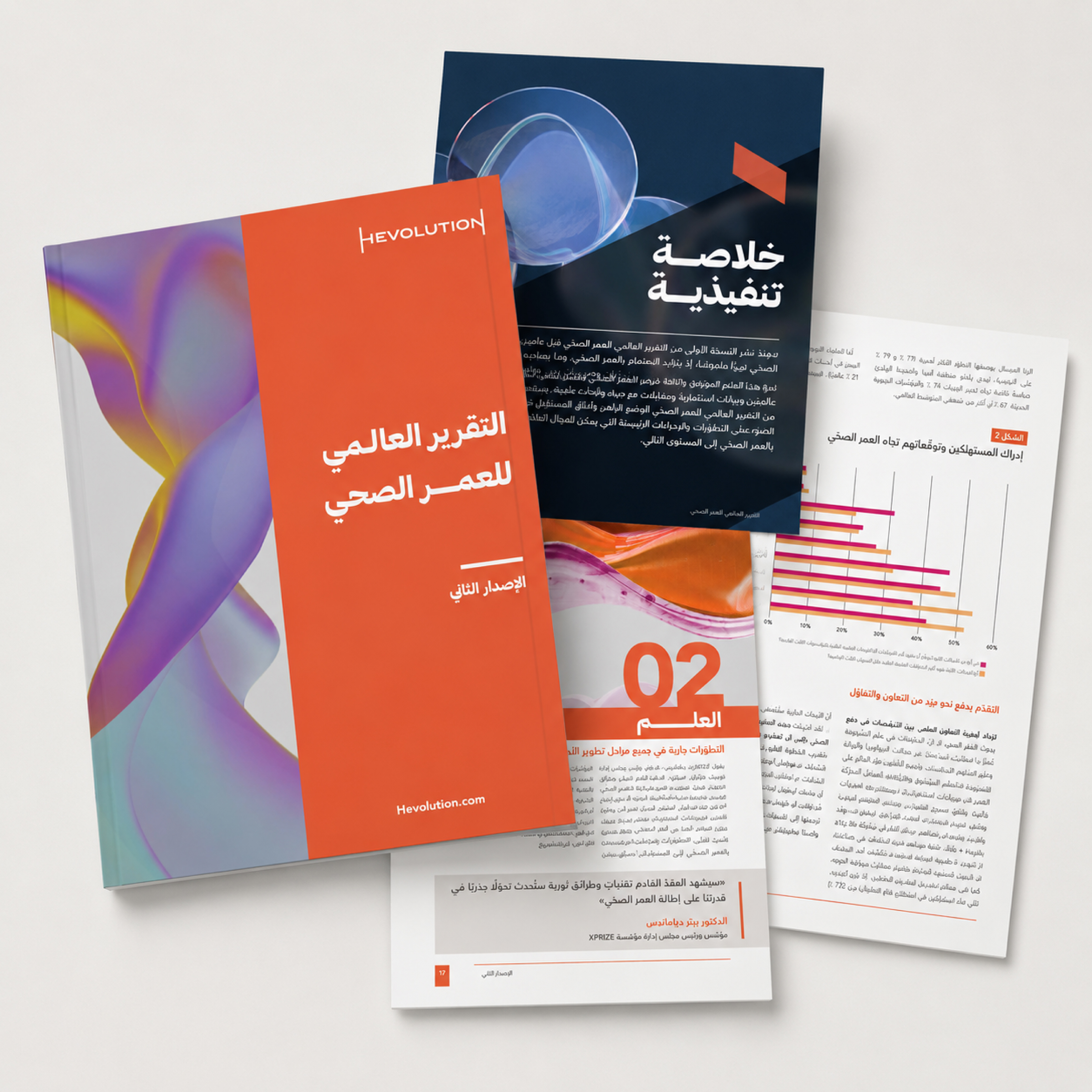 Global Report Design design for Hevolution